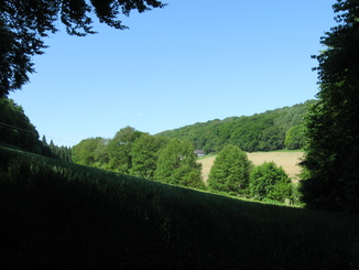 Am Isenberg in Hattingen-Niederbonsfeld