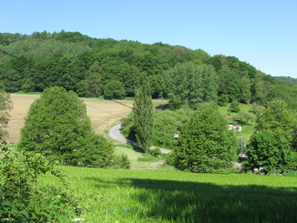 Am Isenberg in Hattingen-Niederbonsfeld mit Blick zur Tippelstraße