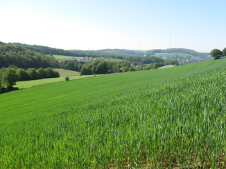 Am Isenberg mit Blick Richtung Velbert-Langenberg