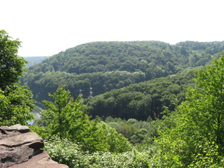 Blick auf den Homberg vom Isenberg