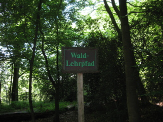 Wald-Lehrpfad auf dem Isenberg