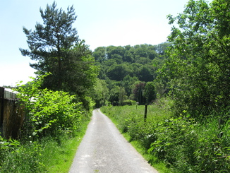 Weg vom Isenbergbach zum Campingplatz