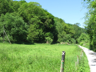 Weg vom Isenbergbach zum Campingplatz