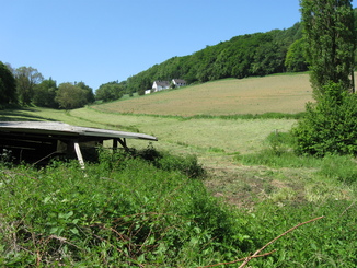 Felder neben der Tippelstraße